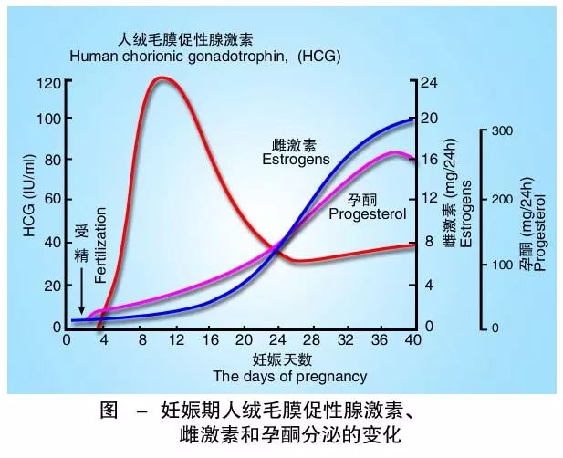 懷孕期間HCG低怎么辦？